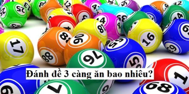 Đề 3 càng ăn bao nhiêu?