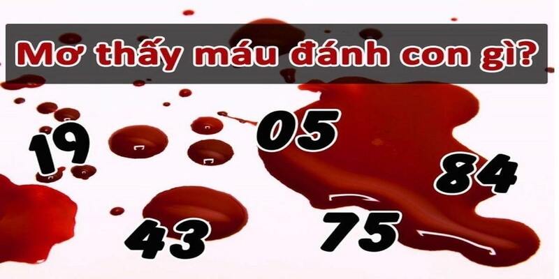 Chiêm bao nằm mơ thấy máu mang đến điềm báo gì?