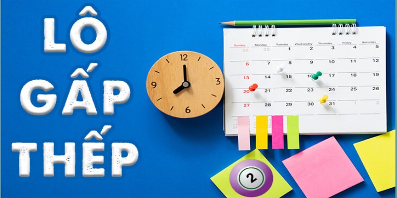 Giới thiệu về lô gấp thếp là gì