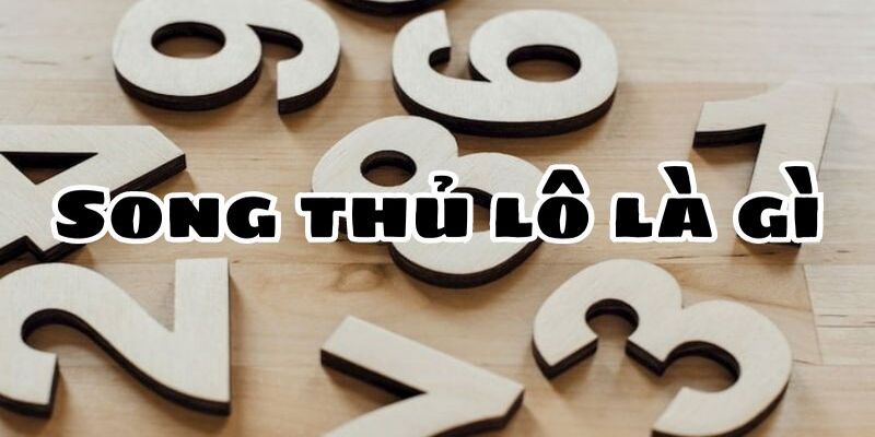 Hướng dẫn cho tân thủ cách bắt STL tối ưu nhất