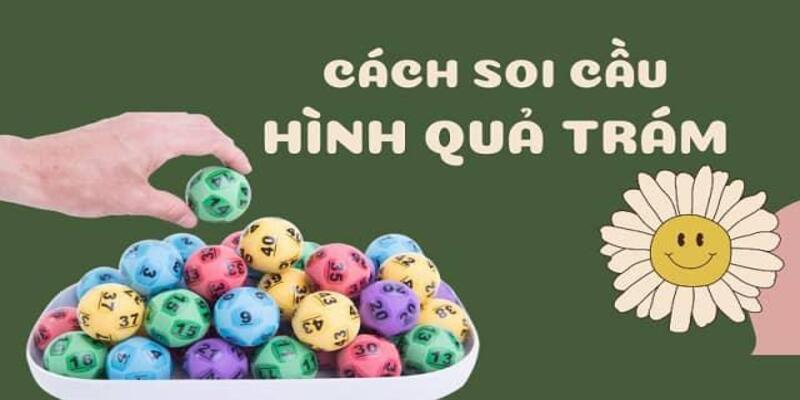 Hướng dẫn tân binh cách đánh lô hình quả trám
