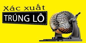 Khám Phá Cách Tính Xác Suất Lô Về Cả Cặp Đơn Giản Nhất