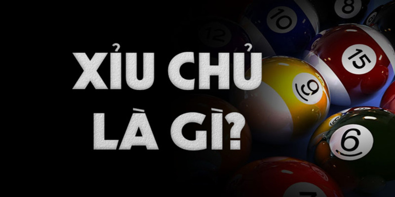 Kinh nghiệm khi chơi xỉu chủ giúp bạn đánh đâu thắng đó