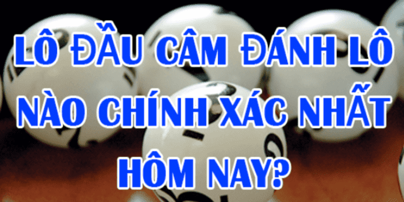 Lô Đầu Câm Hôm Sau Đánh Con Gì Để Nhận Được Tài Lộc?