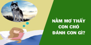 Ngủ Mơ Thấy Chó Đánh Số Mấy? Điều Báo Tương Ứng Từ Chiêm Bao
