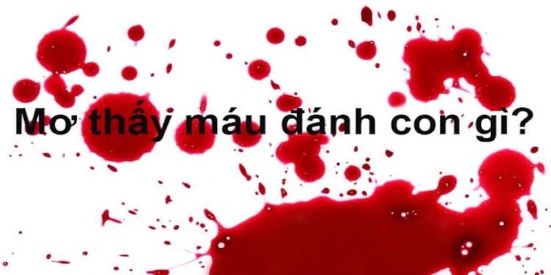 Ngủ Mơ Thấy Máu Đánh Số Mấy? Số Bao Nhiêu Mang Đến May Mắn