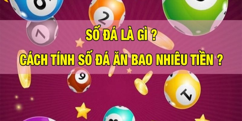 Tìm Hiểu Số Đá Là Gì Và Lưu Ý Khi Áp Dụng Ở Xosobinhduong