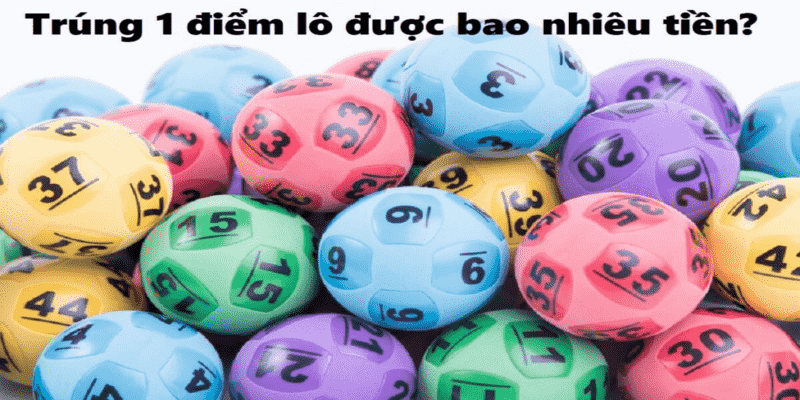 Tổng quan kiến thức về bao nhiêu tiền 1 điểm lô