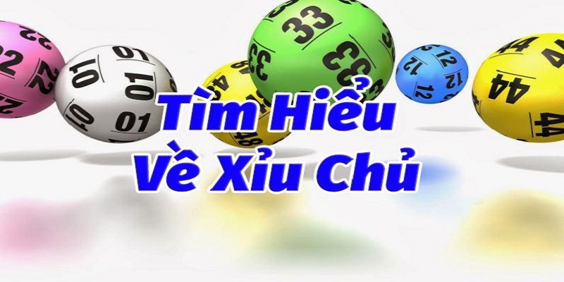 Xỉu chủ là gì?