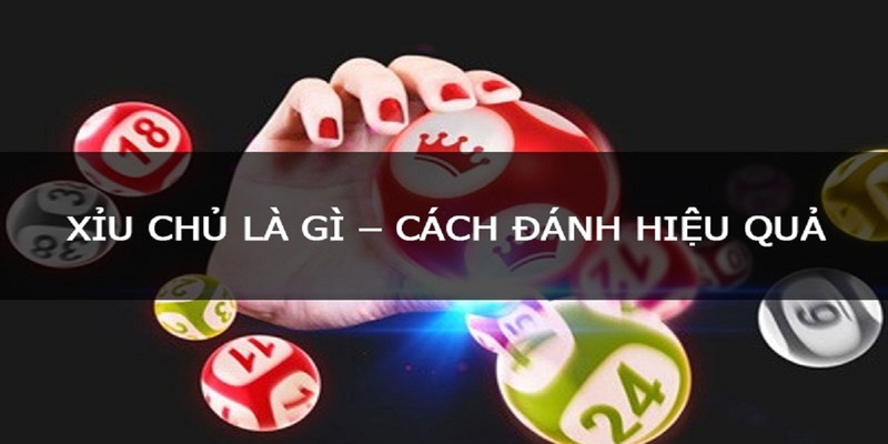 Xỉu Chủ Là Gì? Giải Mã Bí Quyết Làm Giàu Từ Chuyên Gia